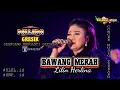 Download Lagu BAWANG MERAH Lilin Herlina NEW PALLAPA GRESIK