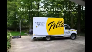 Pella Proline Window Failure