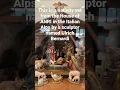 Nativity Set goes priceless