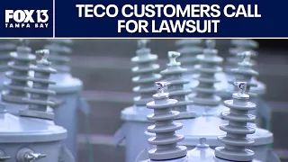 TECO customers call for lawsuit as bills surge