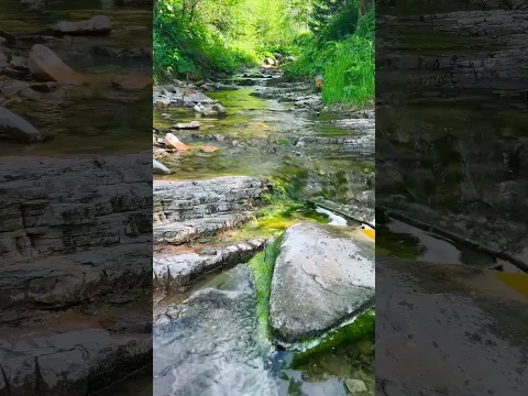 Nature Stream ☘️ Healing Music for the Heart & Mind. Nature sounds Stress Relief and Deep Sleep