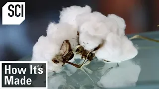 Download How Cotton is Processed in Factories | How It’s Made MP3