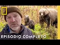 Download Lagu Enfrentamiento de Kodiak | Alaska Salvaje con Les Stroud | Nat Geo en Español