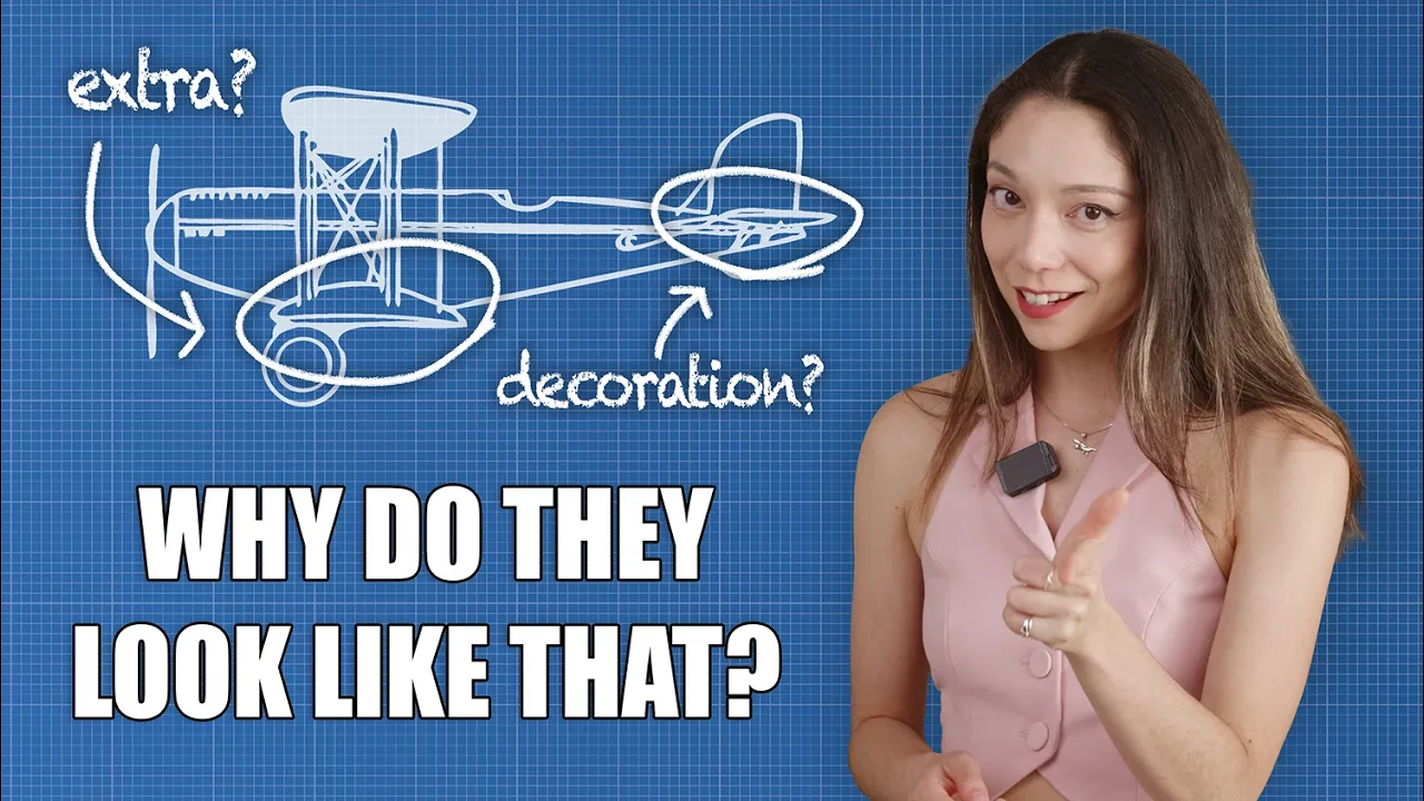 The Secret to Why All Airplanes Look the Same