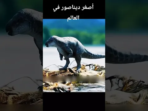 أصغر ديناصور في العالم