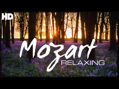 Download MP3 La meilleure musique classique relaxante de Mozart Focus sur la lecture de la méditation relaxation