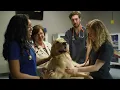 LMU-College of Veterinary Medicine at Orange Park