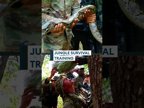 Army jungle survival training🌴