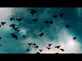 Kings of Leon - Closer [Lyrics]