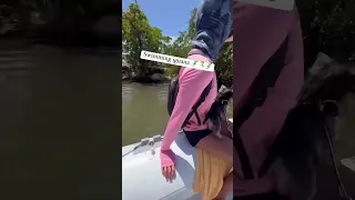 Swimming iguana in Puerto Rico #sailingbyefelicia