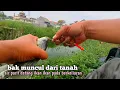 Download Lagu Gak bakalan ada yang percaya kalau minggu lalu air di parit ini habis