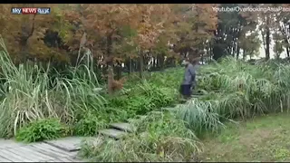 عباءة الاخفاء المذهلة 