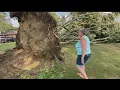 Brookfield home takes brunt of storm