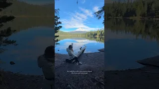 The world feels softer when you let yourself slow down and look around.