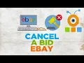 How to Unbid on eBay 2020 How to Cancel a Bid on eBay 2020