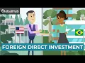 Foreign Direct Investment Explained