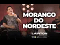 Download Lagu MORANGO DO NORDESTE | Lairton (Clipe Oficial) #EP2023