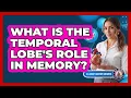 What Is The Temporal Lobe s Role In Memory