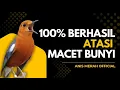 Download Lagu MACETAN PASTI NYAUT | ANIS MERAH GACOR INI 100% JITU UNTUK PANCINGAN ANIS MERAH MACET BIAR BUNYI |13
