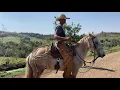 Download Lagu “Domador aceitou o desafio de montar em um cavalo que derrubou e quebrou a perna do seu dono”