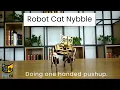 Petoi Nybble Impressive One-Handed Pushups Petoi