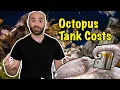 What does an OCTOPUS TANK COST