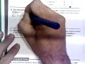 Additional Practice 4-5