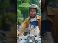 Download Lagu Berdasarkan kisah nyata Deni \u0026 kucingnya, Taro di music video “Kita Bikin Romantis”.