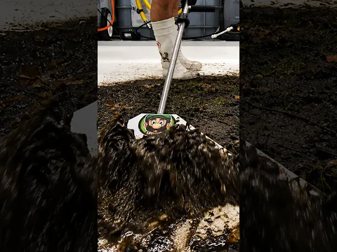 So OVERGROWN With Plant Life. This Was Closer To Gardening Than Cleaning! ASMR Carpet Cleaning.