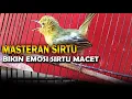Lagu masteran sirtu gacor full isian istimewa 7 jam !! 02