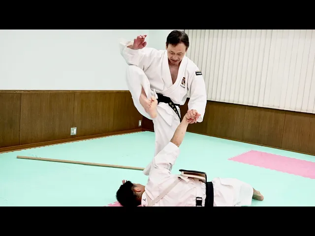 Video: Cut with "The blade of the foot"! Awesome "Shorinji Kempo" kick!