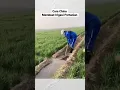 Ketika orang luar bertani | membuat irigasi pertanian