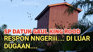 tes sp datuk gaul king rood suara walet terbaik 2022