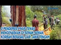 2 Penderes Pinus Tewas Mengenaskan di Semak-semak, Korban Berasal dari Jawa Tengah