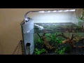 Top Fin 5 Gallon Glass Aquarium Review