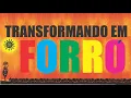 Download Lagu TIM MAIA - GOSTAVA TANTO DE VOCÊ (TRANSFORMANDO EM FORRÓ)