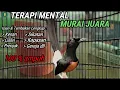 Download Lagu TEMBAKAN MURAIBATU \u0026 ISIAN LENGKAP COCOK DI PUTAR MALAM HARI JAMIN MURAI ANDA LANGSUNG MENAWAN JURI!
