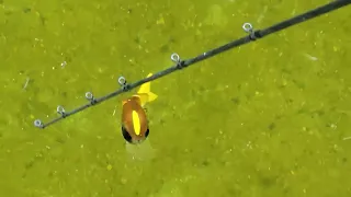 Swimbait Review Legal Dope Tiny Tum