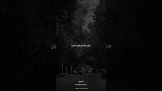 وفات سنين وفينا مين حبيبي من البعد استفاد رامي جمال شيرين 