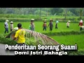 Lagu Penderitaan seorang suami demi membahagian Istrinya