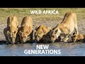 New Generations A Cinematic Wildlife Film from Africa