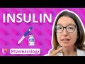 Insulin - Pharmacology