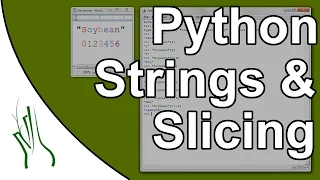 Python - What are strings and what is string slicing