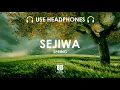 Download Lagu SEJIWA - SPRING (8D TUNES MALAYSIA)