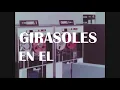 Silva de Alegría - Primavera en la Guerra del Sonido
