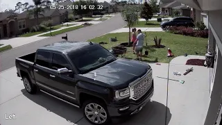 timelapse of planting a queen palm in the front yard 