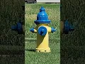 The Secret Code of Fire Hydrants