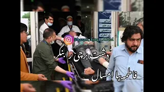 فاطمه بیا امسال دشت برچی را بنگر 