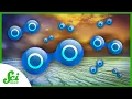 Lagu How Earth's Rotation Affects Our Oxygen | SciShow News