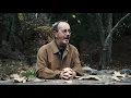 Hüsnü Arkan - Deli Eylül